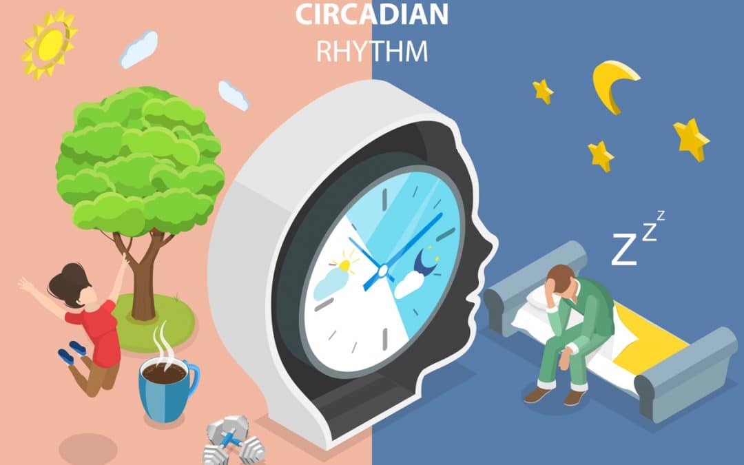 What Is A Circadian Rhythm? How Does It Affect Sleep?